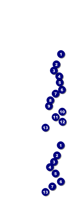 Graduation Diploma General Admission Ticket Front Field Markers