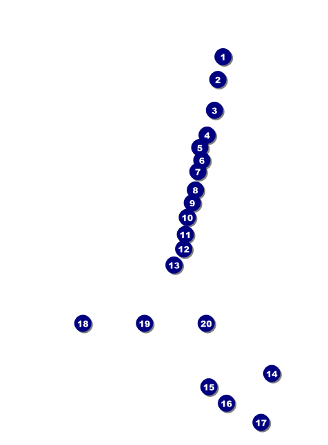 Winter Festival Invitation Front Field Markers
