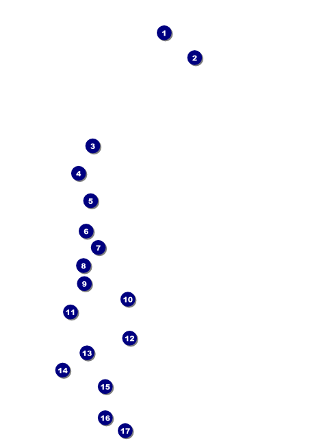 Christmas Poinsettia Flyer 002 Front Field Markers