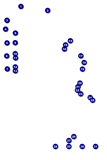 Fundraiser Tree Poster Front Field Markers