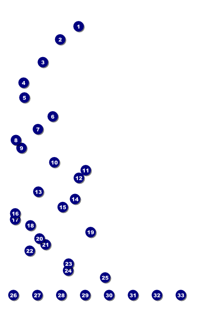 Camouflage Image Poster Front Field Markers