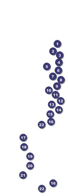 Alaska Raffle Ticket Front Field Markers
