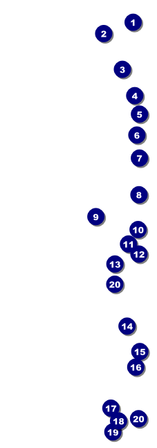 Boise 2 Raffle Ticket Front Field Markers