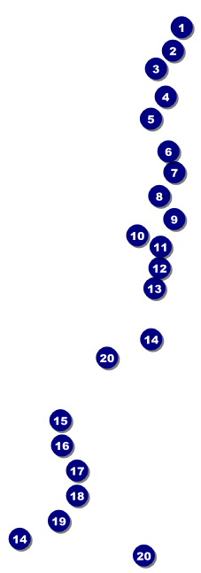 Paper Christmas Tree Red Raffle Ticket Front Field Markers
