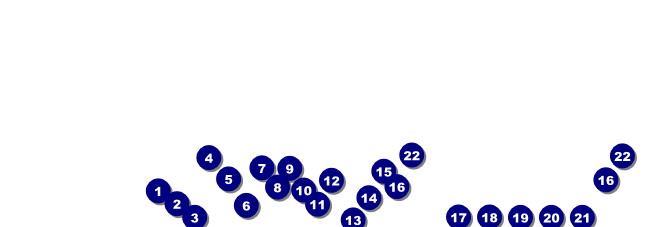 Miami Raffle Ticket Front Field Markers