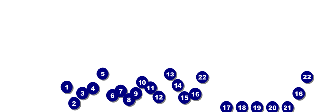San Francisco Raffle Ticket Front Field Markers