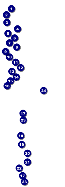 Cash Raffle Ticket 001 Front Field Markers