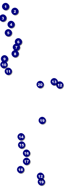 Your Image Raffle Ticket 001 (Yellow) Front Field Markers