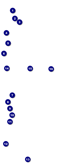 Roller Derby Pink Leopard VIP Pass Front Field Markers