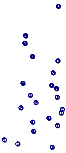 Softball VIP Pass Front Field Markers