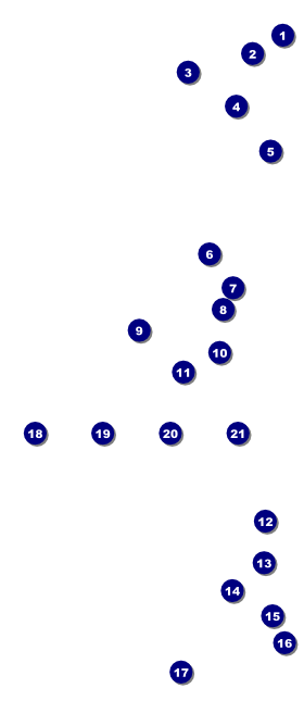 Dance Silhouette VIP Pass Front Field Markers