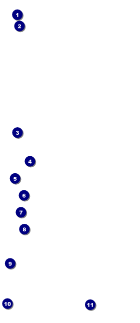 Renaissance Faire Armor VIP Pass Front Field Markers