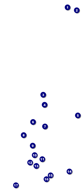 Chinese New Year Horse VIP Pass Front Field Markers