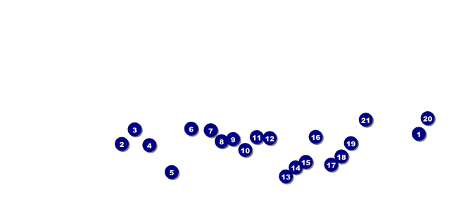 Gospel VIP Pass Front Field Markers