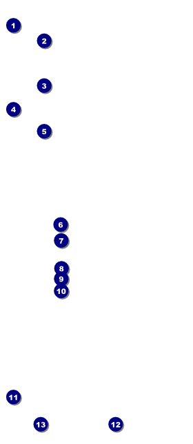 Gymnastics VIP Pass Front Field Markers