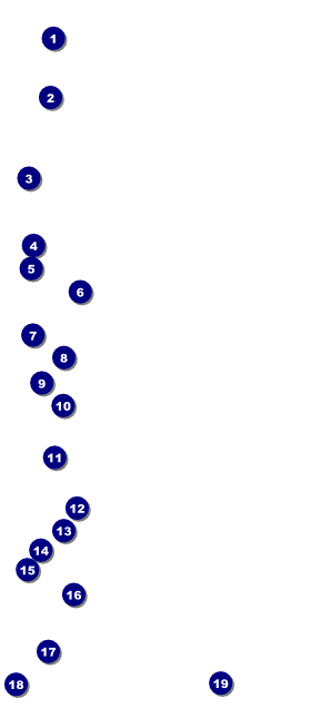 Spring VIP Pass Front Field Markers