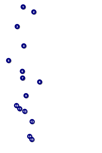 Book Fair Poster Front Field Markers