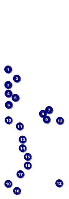 Burgers and Beer Raffle Ticket Front Field Markers