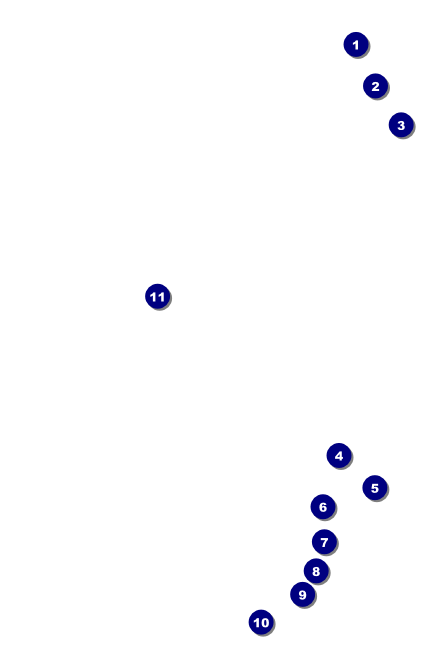 Golf Backswing Drink Ticket Front Field Markers