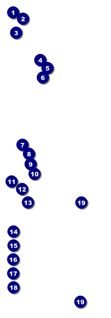 High Tea Raffle Ticket Front Field Markers