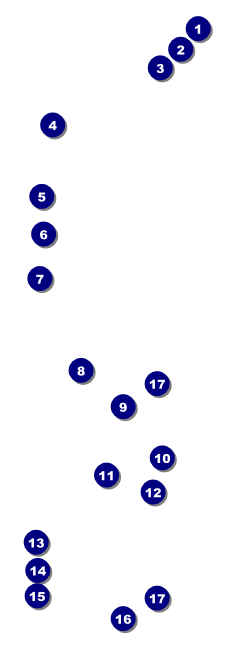 80s Music Event Ticket Front Field Markers