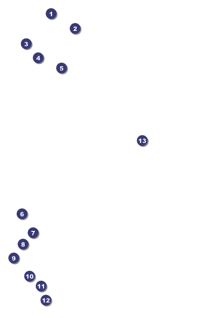 Winter Bird Drink Ticket Front Field Markers