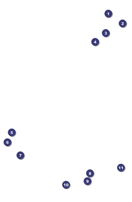 Zombie Woman Drink Ticket Front Field Markers