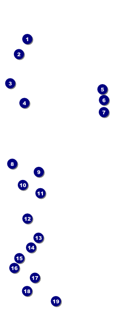 All Purpose Hex VIP Pass Front Field Markers