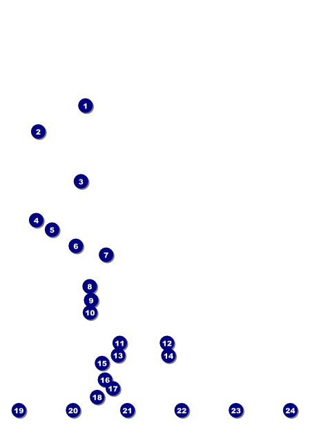 Renaissance Logo Flyer Front Field Markers