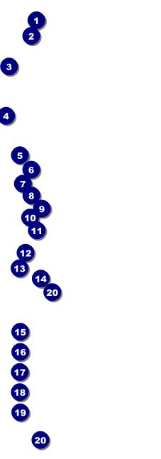 Tie Dye Raffle Ticket Front Field Markers