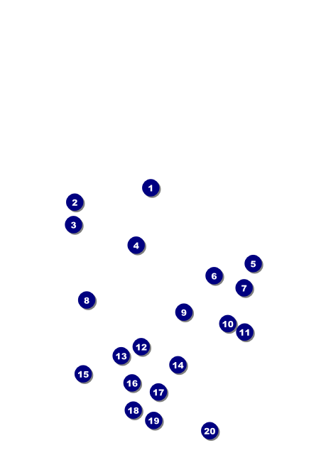 Los Angeles Club Flyer (Black and white) Front Field Markers