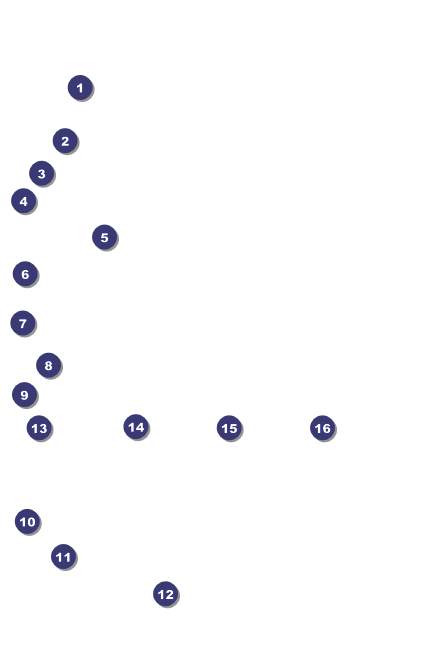 Versus Black Drink Ticket Front Field Markers
