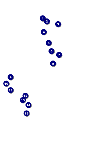 Day of the Dead Club Flyer Front Field Markers