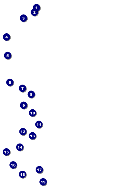 Bucking Bronco Rodeo Club Flyer Front Field Markers