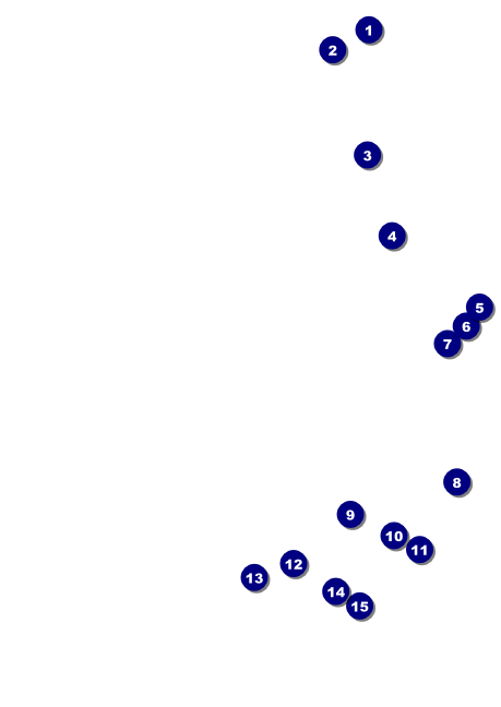 Prom Limo Club Flyer Front Field Markers